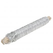 Artículo Cordón de papel envuelto en alambre Ø0,8mm 22m plateado