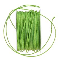 Artículo Cordón de papel recubierto de alambre Ø2mm 100m verde manzana