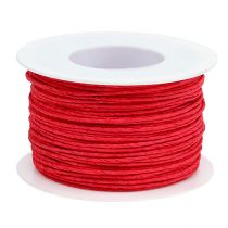 Artículo Hilo de papel envuelto Ø2mm 100m rojo