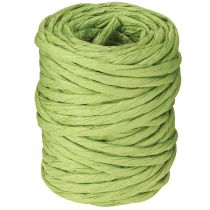 Artículo Cordón de papel verde decorativo sin alambre ancho 6mm 23m