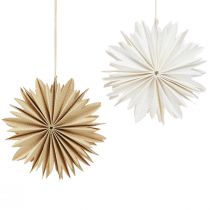 Artículo Estrellas de papel para colgar adornos para árboles blanco natural 16cm 6 piezas