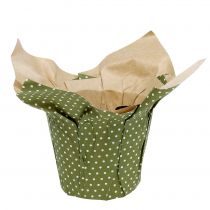 Macetero de papel con estampado verde-blanco Ø9,5cm 12ud