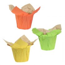 Botes de papel verde, naranja, amarillo Ø10cm 12ud