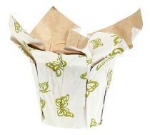 Maceta de papel Ø12cm H9cm con patrón 8pcs