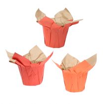 Artículo Macetero de papel naranja / rojo Ø8cm 12pcs