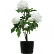 Artículo Paeonia artificial, peonía en maceta, planta decorativa flores blancas H57cm