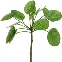 Peperomia Planta verde artificial con hojas 30cm