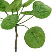 Peperomia Planta verde artificial con hojas 30cm