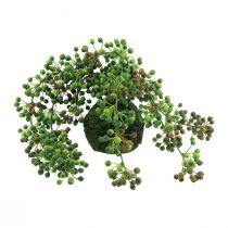 Hilo de cuentas bola de musgo artificial plantas artificiales verde 38cm