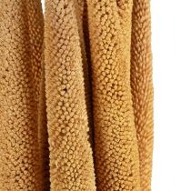 Artículo Bombillas decorativas de mijo perla Babala Millet Amarillo 70cm 10 uds