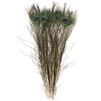 Artículo Plumas de pavo real, plumas de ave auténticas para manualidades y decoración, 55 cm, 10 unidades