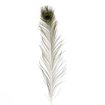 Artículo Decoración de plumas de pavo real plumas de ave reales de largo 70 cm 16 piezas