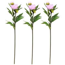 Artículo Peonía flores artificiales rosa con tallo largo 70cm 3ud