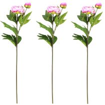 Artículo Peonías Flores Artificiales De Tallo Largo Rosa 70cm 3uds