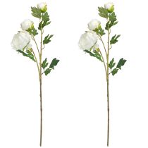 Artículo Peonias artificiales con 3 flores color blanco crema 81cm 2uds