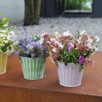 Cubo para plantas, maceta de metal con asas, macetero decorativo para plantar rosa/verde/amarillo shabby chic Ø12cm H10cm set de 3