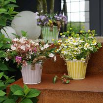 Artículo Maceta decorativa, cubo de metal para plantar, macetero con asas, rosa/verde/amarillo shabby chic Ø14,5cm H13cm juego de 3