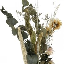 Artículo Ramo de flores secas set de floristería seca de eucalipto H30-35cm