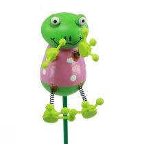 Artículo Tapones para plantas ranas tapones florales decorativos 24cm 16 piezas