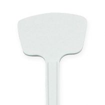 Artículo Etiqueta planta 24cm 10ud.