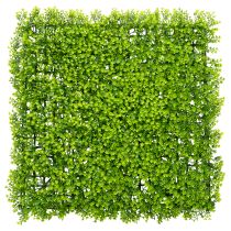 Artículo Tapete de plantas artificiales de boj de 55x55 cm para decoración de paredes.