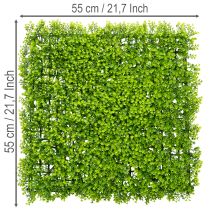 Artículo Tapete de plantas artificiales de boj de 55x55 cm para decoración de paredes.