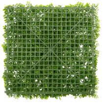 Artículo Tapete de plantas artificiales de boj de 55x55 cm para decoración de paredes.
