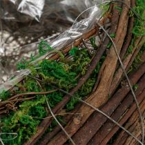 Artículo Macetero Heart Vine Moss 21cm x 26cm H6cm