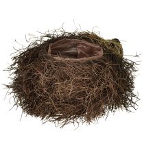 Artículo Jardinera erizo hecha de enredaderas 22cm x 25cm