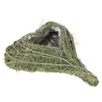Artículo Corazón de planta natural para floristería con lámina, 25 cm