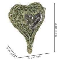 Artículo Corazón de planta natural para floristería con lámina, 25 cm