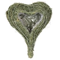 Artículo Corazón de planta natural para floristería con lámina, 25 cm
