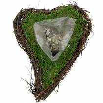 Planta corazón de vid, musgo 26×36cm H9cm