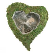 Planta corazón verde musgo planta cuenco corazón 20x20x5,5cm