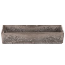 Artículo Bandeja rectangular compacta, de uso versátil para decoración y plantación, 23 cm.