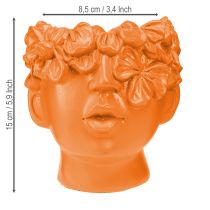 Artículo Busto de planta con cabeza de planta, maceta naranja, 13,5 x 13 x 14 cm