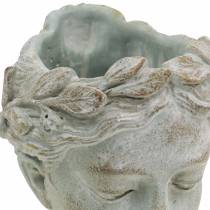Artículo Busto de cabeza de planta gris azulado Ø8cm H15cm