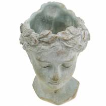 Artículo Busto de cabeza de planta gris azulado Ø8cm H15cm
