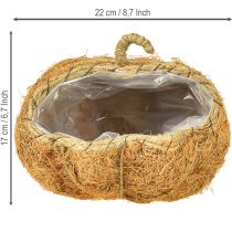Artículo Cesta para plantas calabaza decoración otoñal naranja Ø22cm H17cm