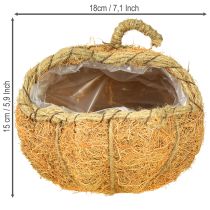 Artículo Cesta para plantas Calabaza Decoración otoñal Ø18cm
