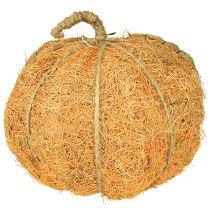 Artículo Cesta para plantas Calabaza Decoración otoñal Ø18cm