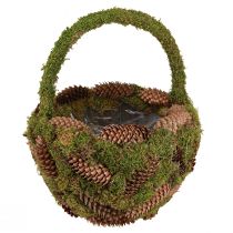 Artículo Cesta para plantas con conos de abeto y musgo con asa Ø32cm H42cm