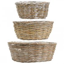Artículo Juego de 3 cestas de mimbre, jardineras, cestas decorativas, estilo vintage lavado en blanco, Ø21,5/26/31cm para hogar y jardín