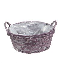 Cesta de plantas redonda púrpura oscuro Ø20cm H10cm