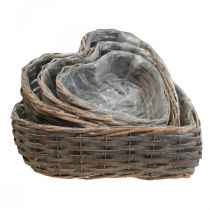 Cesta de plantas cesta decorativa en forma de corazón planta corazón sauce conjunto de 4