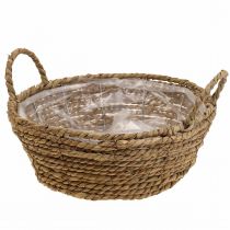 Artículo Cesta de plantas cesta de algas marinas con asas decoración de mesa Ø30cm H11cm