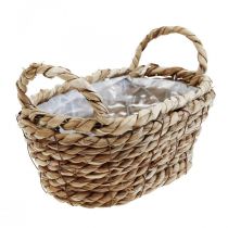Cesta para plantas cesta de algas marinas con asas decoración ovalada 23×13×9cm