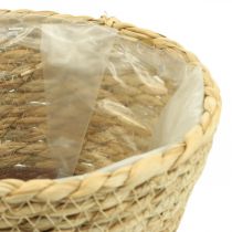 Cesta de plantas macetero cesta de hierba marina deco naturaleza Ø19cm H16cm