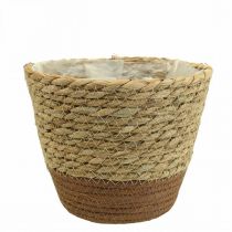 Cesta de plantas macetero cesta de hierba marina deco naturaleza Ø19cm H16cm