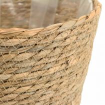 Cesta de plantas macetero cesta de hierba marina deco naturaleza Ø23cm H20cm
